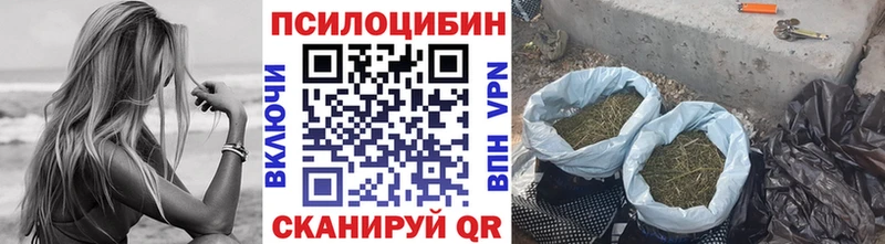 Галлюциногенные грибы MAGIC MUSHROOMS  Кимовск 
