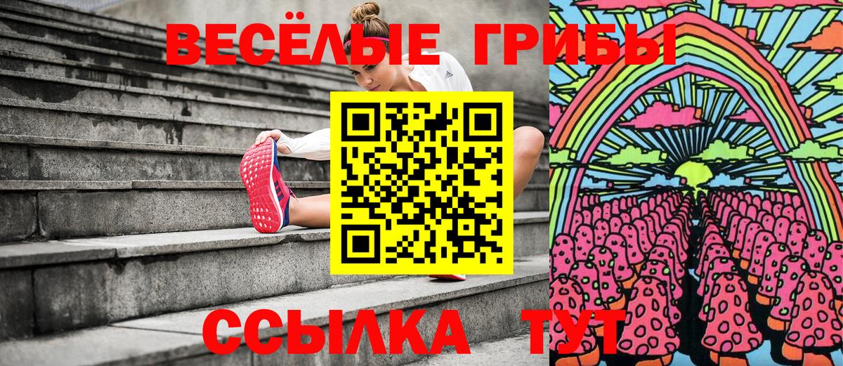 Кимовск  Псилоцибиновые грибы GOLDEN TEACHER  Псилоцибиновые грибы прущие грибы  Вход с VPN 