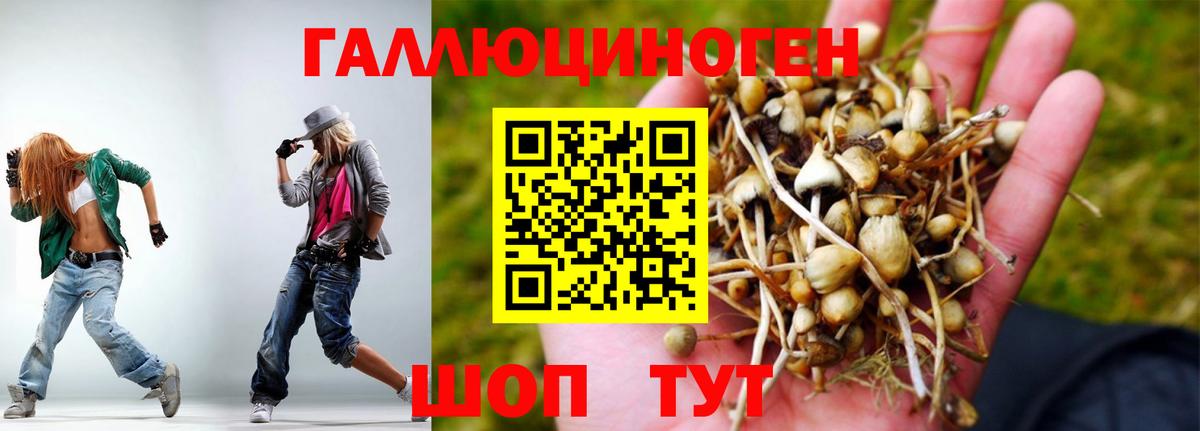 Псилоцибиновые грибы прущие грибы Кимовск